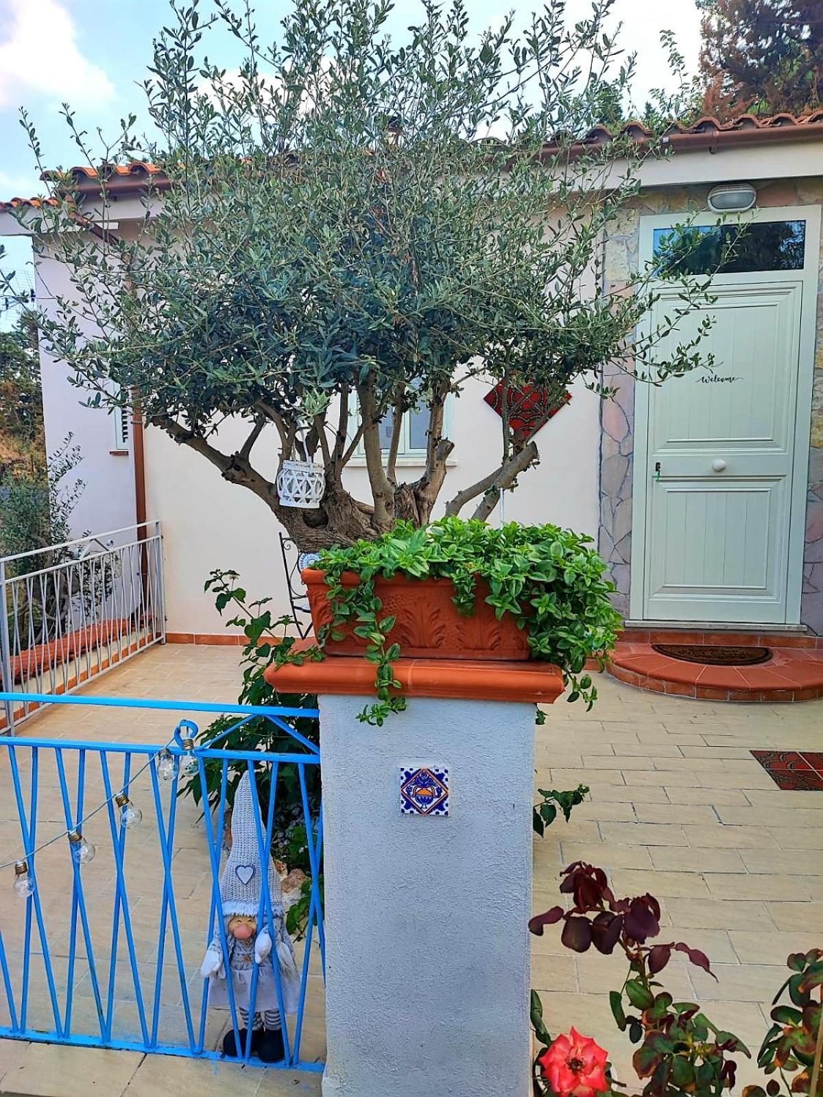 La Casetta Degli Ulivi Palermo Dış mekan fotoğraf